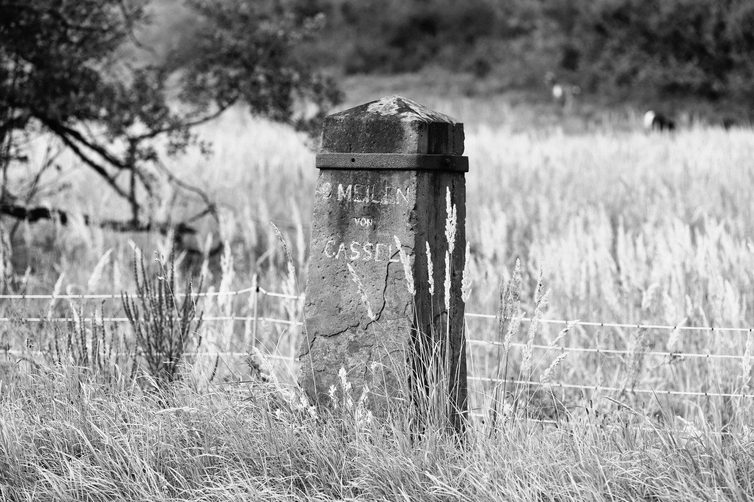 Toponymie occitane — Explorer les influences linguistiques et culturelles