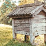 Occitanie et apiculture médiévale : l’art des abeilles et des moines