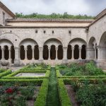 Occitanie et vin : l’influence des moines et des seigneurs sur la viticulture médiévale